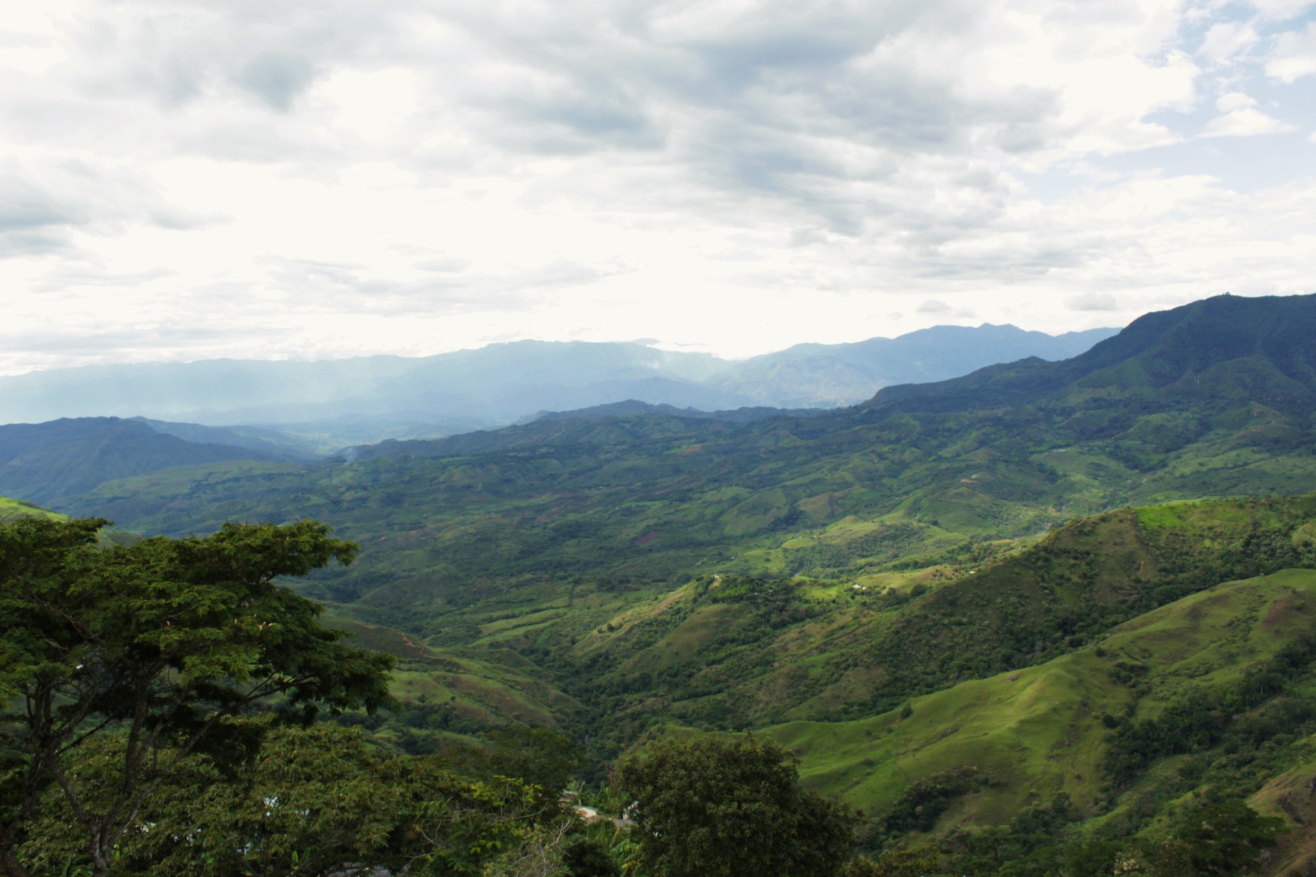 Simplemente es majestuoso los diferentes verdes que se encuentran en esta tierra, además de las increíbles fuentes hídricas.